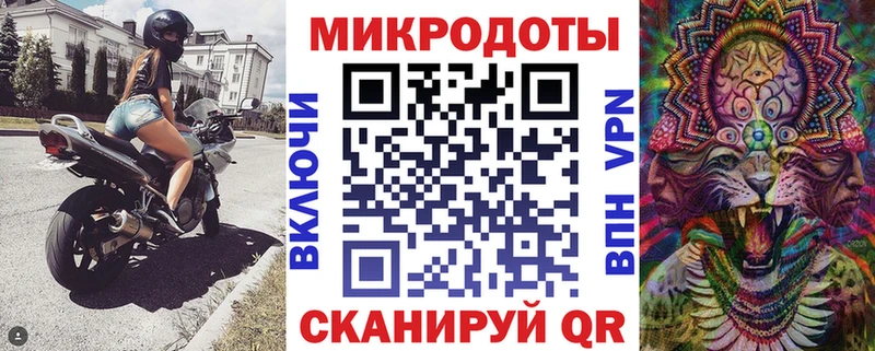 Галлюциногенные грибы Psilocybine cubensis  Краснообск 